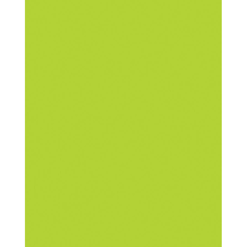Neon+Coated+Poster+Board%2C+Neon+Lime%2C+22%26quot%3B+x+28%26quot%3B%2C+25+Sheets