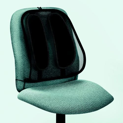 Fellowes+Office+Suites+Mesh+Back+Support