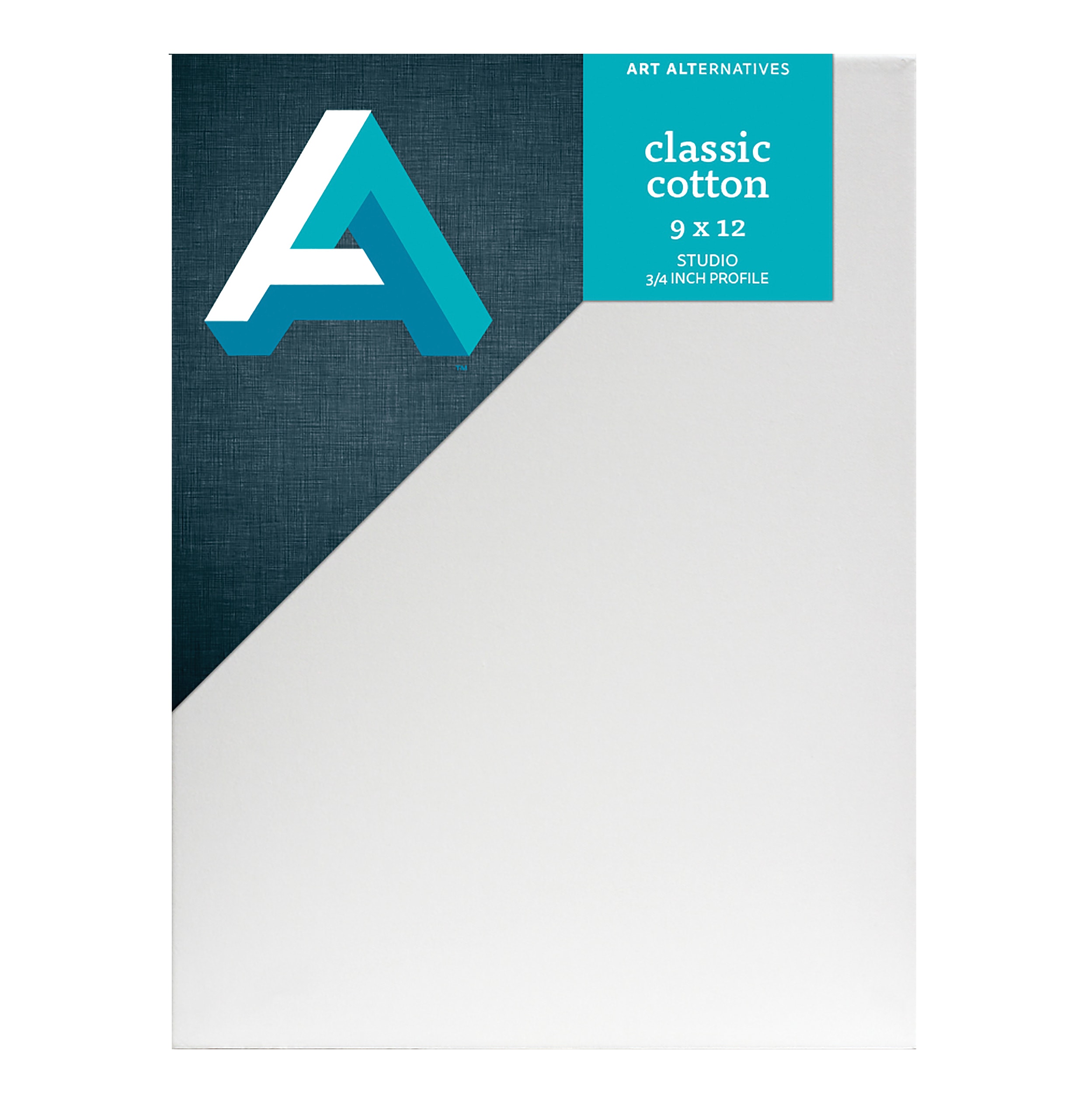 CNVS+CLASSIC+STUDIO+9X12+%2810%29
