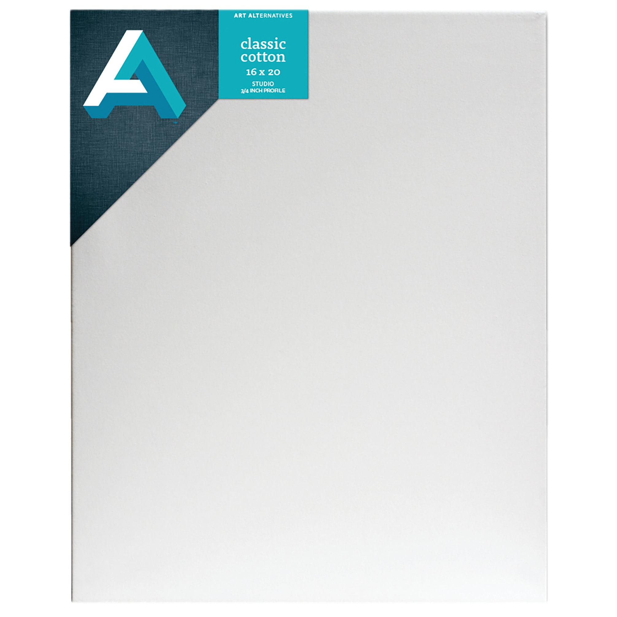 CNVS+CLASSIC+STUDIO+16X20+%2810%29