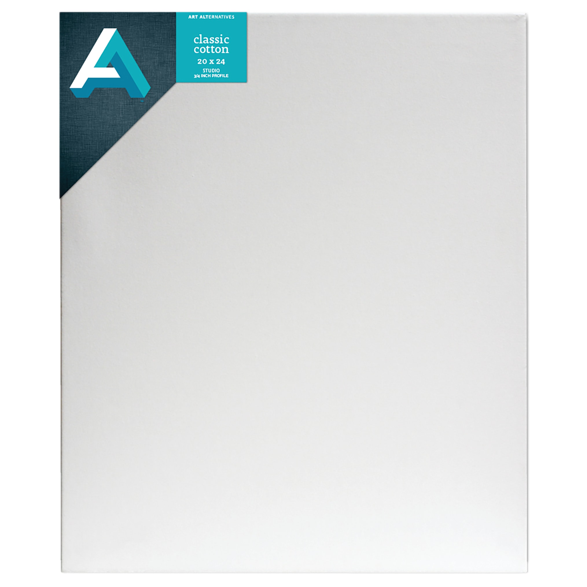 CNVS+CLASSIC+STUDIO+20X24+%2810%29