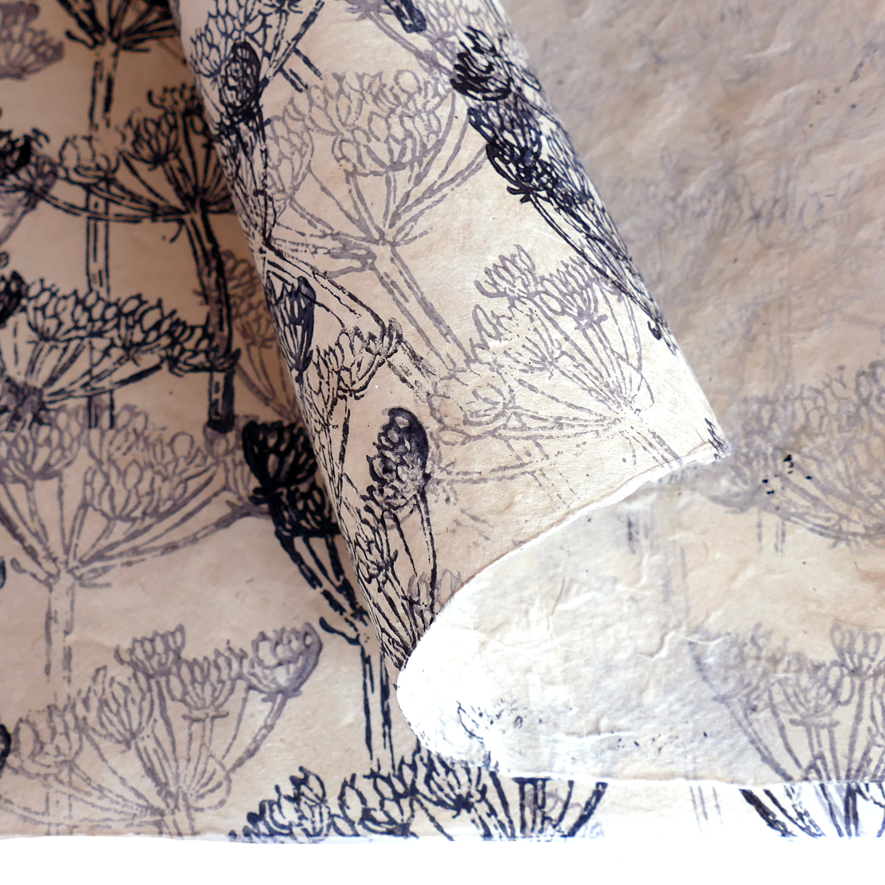 ANISE+FLWRS+60GSM+20X30+OMBRE