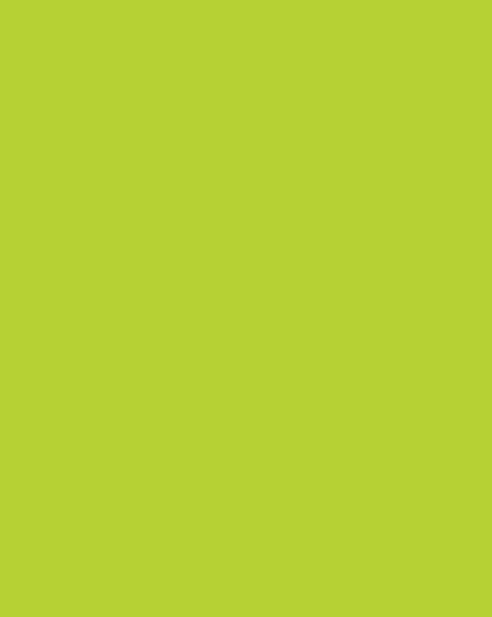 PSTR+BD+HW+22X28+HOT+LIME+25SH