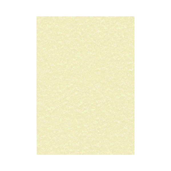 Decadry+Parchment+A4+Letterhead+Paper+95gsm+Champagne+%28Pack+of+100%29+PCL1601